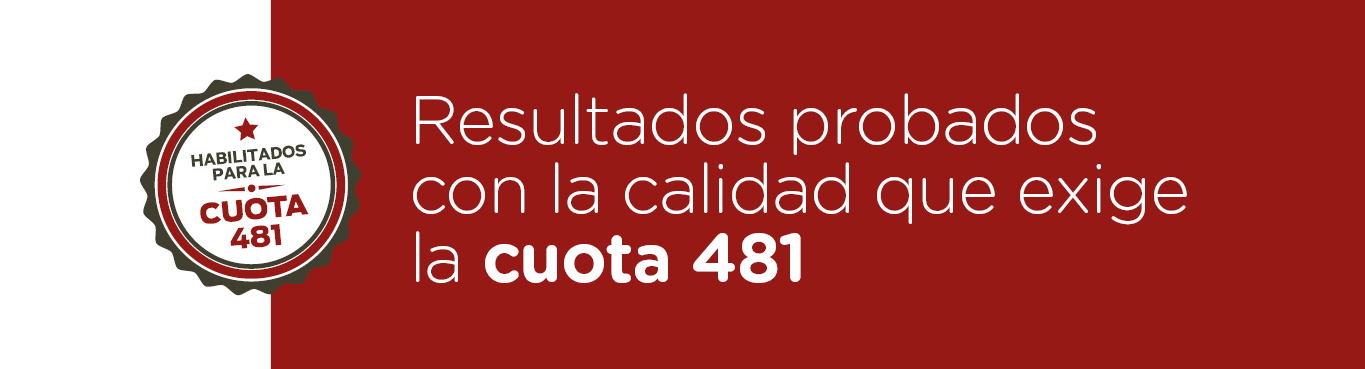 Resultados 481