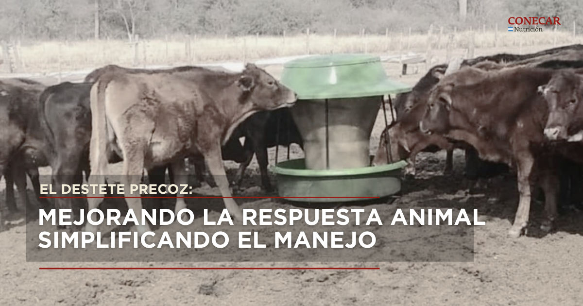 Mejorando la respuesta animal simplificando el manejo