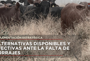 Suplementacion estrategica: alternativas disponibles y efectivas ante la falta de forrajes