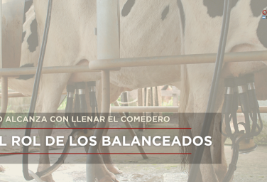 E Rol de los Balanceados. No alcanza con llenar el comedero