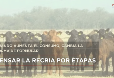 Pensar la recría por etapa